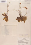000000342-thumbnail.jpg