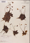 000000343-thumbnail.jpg