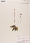 000000346-thumbnail.jpg
