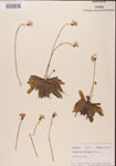 000000347-thumbnail.jpg