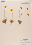 000000353-thumbnail.jpg