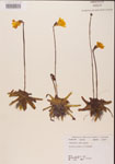 000000356-thumbnail.jpg