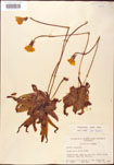 000000364-thumbnail.jpg
