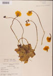 000000370-thumbnail.jpg