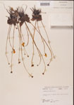 000000376-thumbnail.jpg