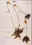 000000379-thumbnail.jpg