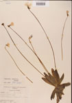 000000387-thumbnail.jpg