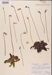 000000401-thumbnail.jpg