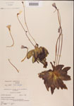 000000402-thumbnail.jpg