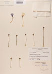 000000404-thumbnail.jpg