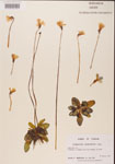 000000408-thumbnail.jpg