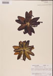 000000409-thumbnail.jpg