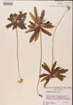 000000410-thumbnail.jpg