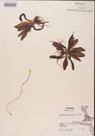 000000411-thumbnail.jpg