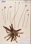 000000414-thumbnail.jpg