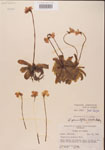 000000416-thumbnail.jpg