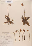 000000417-thumbnail.jpg