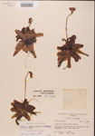 000000418-thumbnail.jpg