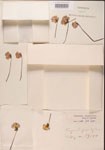 000000422-thumbnail.jpg
