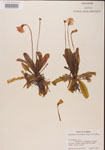 000000425-thumbnail.jpg
