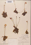 000000426-thumbnail.jpg