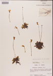 000000428-thumbnail.jpg