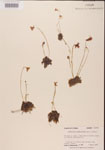 000000429-thumbnail.jpg