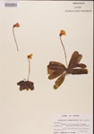 000000431-thumbnail.jpg