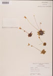 000000432-thumbnail.jpg