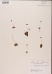 000000433-thumbnail.jpg