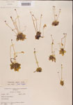 000000435-thumbnail.jpg