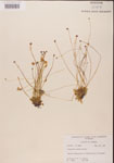 000000436-thumbnail.jpg