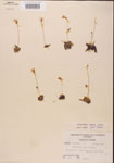 000000438-thumbnail.jpg