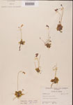 000000441-thumbnail.jpg