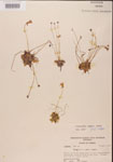 000000442-thumbnail.jpg
