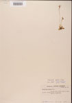 000000445-thumbnail.jpg
