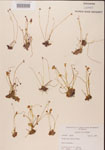 000000447-thumbnail.jpg