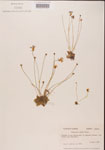 000000448-thumbnail.jpg