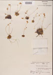 000000450-thumbnail.jpg
