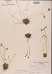 000000451-thumbnail.jpg
