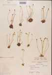000000453-thumbnail.jpg