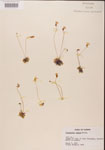 000000454-thumbnail.jpg