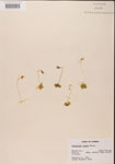 000000455-thumbnail.jpg