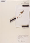 000000456-thumbnail.jpg
