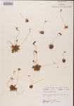 000000457-thumbnail.jpg