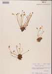 000000458-thumbnail.jpg