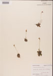 000000459-thumbnail.jpg