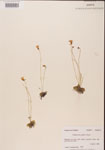 000000465-thumbnail.jpg