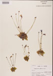 000000467-thumbnail.jpg