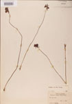 000000473-thumbnail.jpg